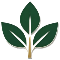 Qingdao  Chengyixin  Elettronica  Tecnologia  Co.,  Ltd.